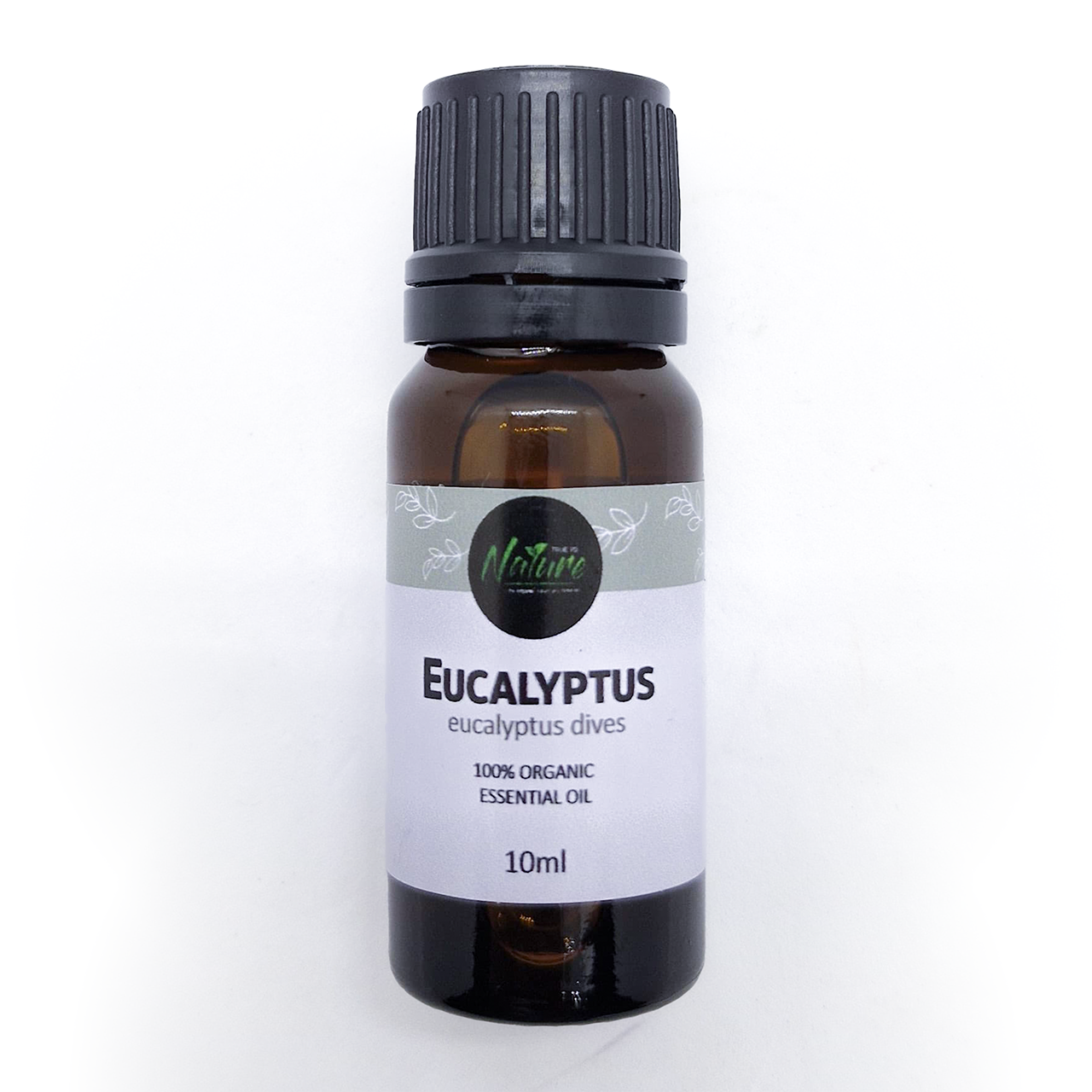 Eucalyptus Oil - 10ml