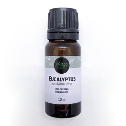 Eucalyptus Oil - 10ml